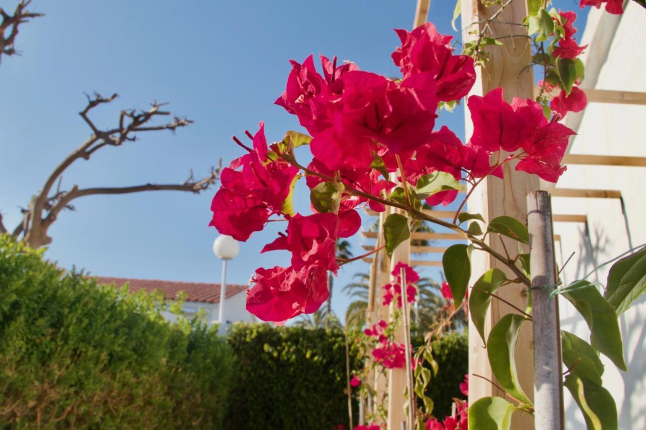 Casita Blanca Near Yumbo Daire Playa del Ingles  Dış mekan fotoğraf